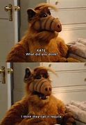 Image result for Funny Alf Quotes
