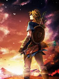 Image result for Zelda Breath of the Wild Link Anime