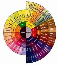 Image result for Color Chart for Flavor of Hard Tack Candy