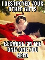 Image result for Funny Merry Christmas Everyone Images