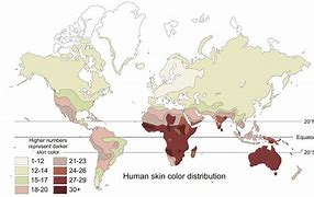 Image result for Human Skin Color Map