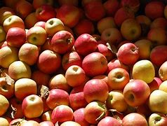 Image result for An Apple a Day Conditioer Walmart