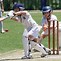 Image result for Cricket Copyright Free Images