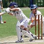 Image result for Picture of Playing Cricket