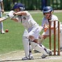 Image result for Cricket Stock Images. Free