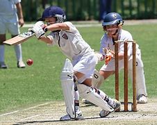 Image result for Picture of a Cricket