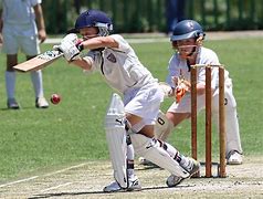 Image result for Picture of a Cricket