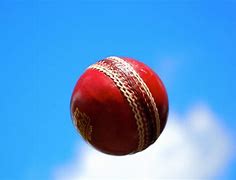 Image result for Cricket Ball Sports