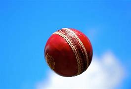 Image result for Cricket Ball Bowling