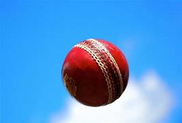 Image result for Leather Cricket Ball