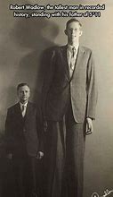Image result for World Tallest Human