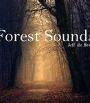 Image result for Forest Sounds