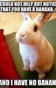 Image result for Angry Easter Bunny Memes