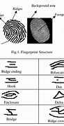 Image result for Biometric Fingerprint