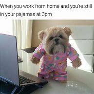 Image result for Bad Work Day Meme Animals