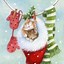 Image result for Cute Christmas Animals