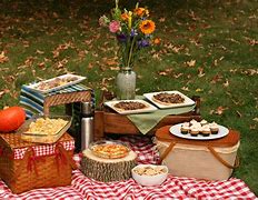 Image result for picnics