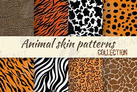 Image result for Animal Skin Patterns