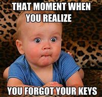 Image result for Forgot My Keys Funny Comic