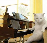 Image result for Funny Piano Playing