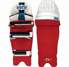 Image result for Wicket Keeping Pads