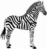 Image result for Zebra in a Library