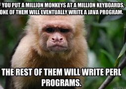 Image result for Why Monkey Meme