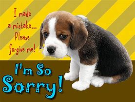 Image result for I'm Sorry Puppy Dog Eyes GIF