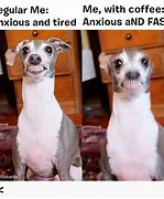 Image result for Anxious Dog Meme
