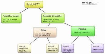 Image result for Why Do We Fall Ill Flow Chart