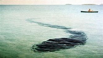Image result for Hook Island Sea Monster