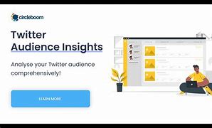 Image result for How to See Audience Demographics On Twitter