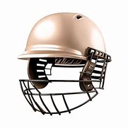 Image result for Indian Cricket Helmet PNG