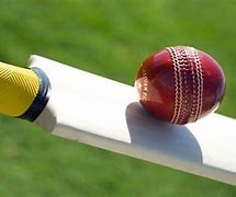 Image result for Cricket Background Images Free Download