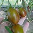 Image result for Grape Tomato Seeds