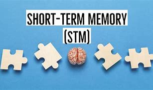 Image result for Short-Term Memory Clip Art