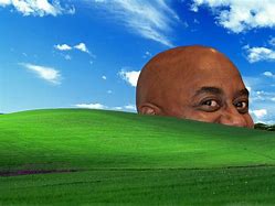 Image result for Windows XP Default Wallpaper Funny