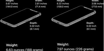 Image result for Size of iPhone 11 in Inches