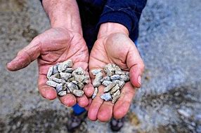 Image result for Sharp Small Rocks
