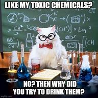 Image result for Toxic Cat Meme