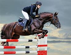 Image result for best five horses breed jump