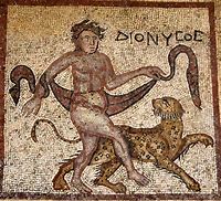 Image result for Dionysus Leopard