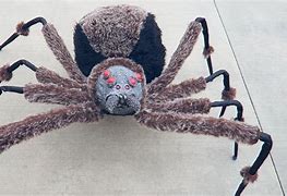 Image result for giant spiders pranks halloween