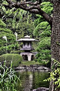 Image result for Tokyo Japan Garden