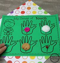 Image result for Senses Activities for Kids