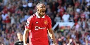 Image result for Anthony Martial Injury