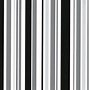 Image result for Black and White Bold Stripes