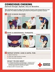 Image result for American Red Cross First Aid Choking