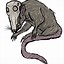 Image result for Plague Rat Meme