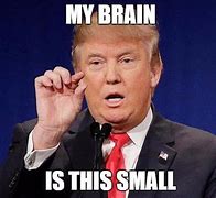 Image result for Small Brain Meme